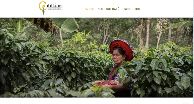 Captura de pantalla 2024 10 09 a las 5.35.12 p. m 768x413